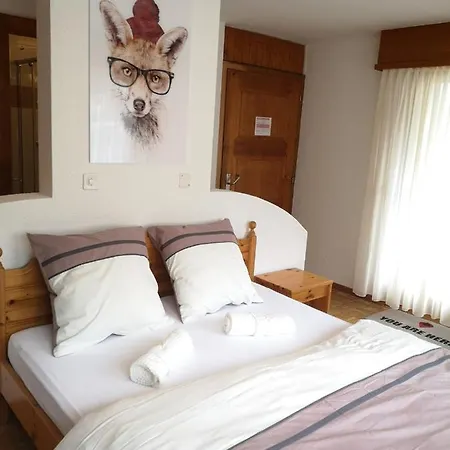 Studio 20 * Овронна